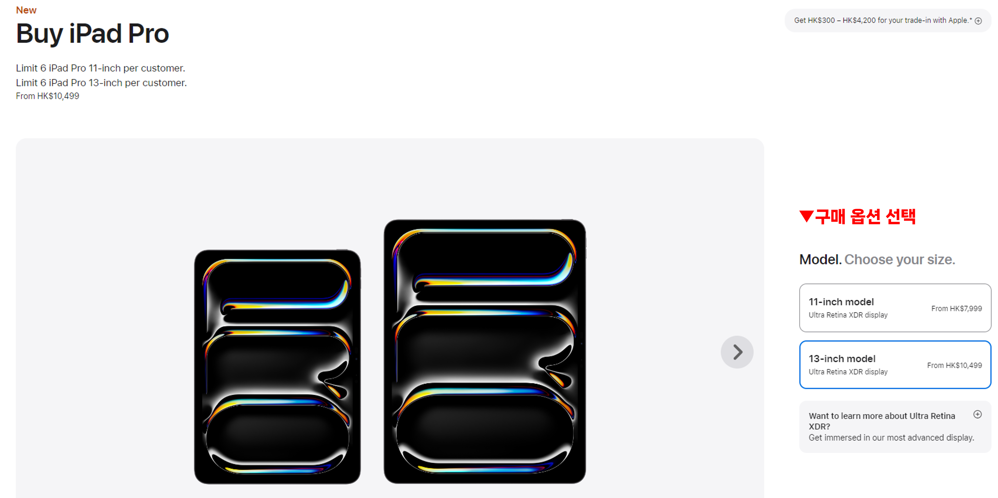 애플 제품 옵션 선택