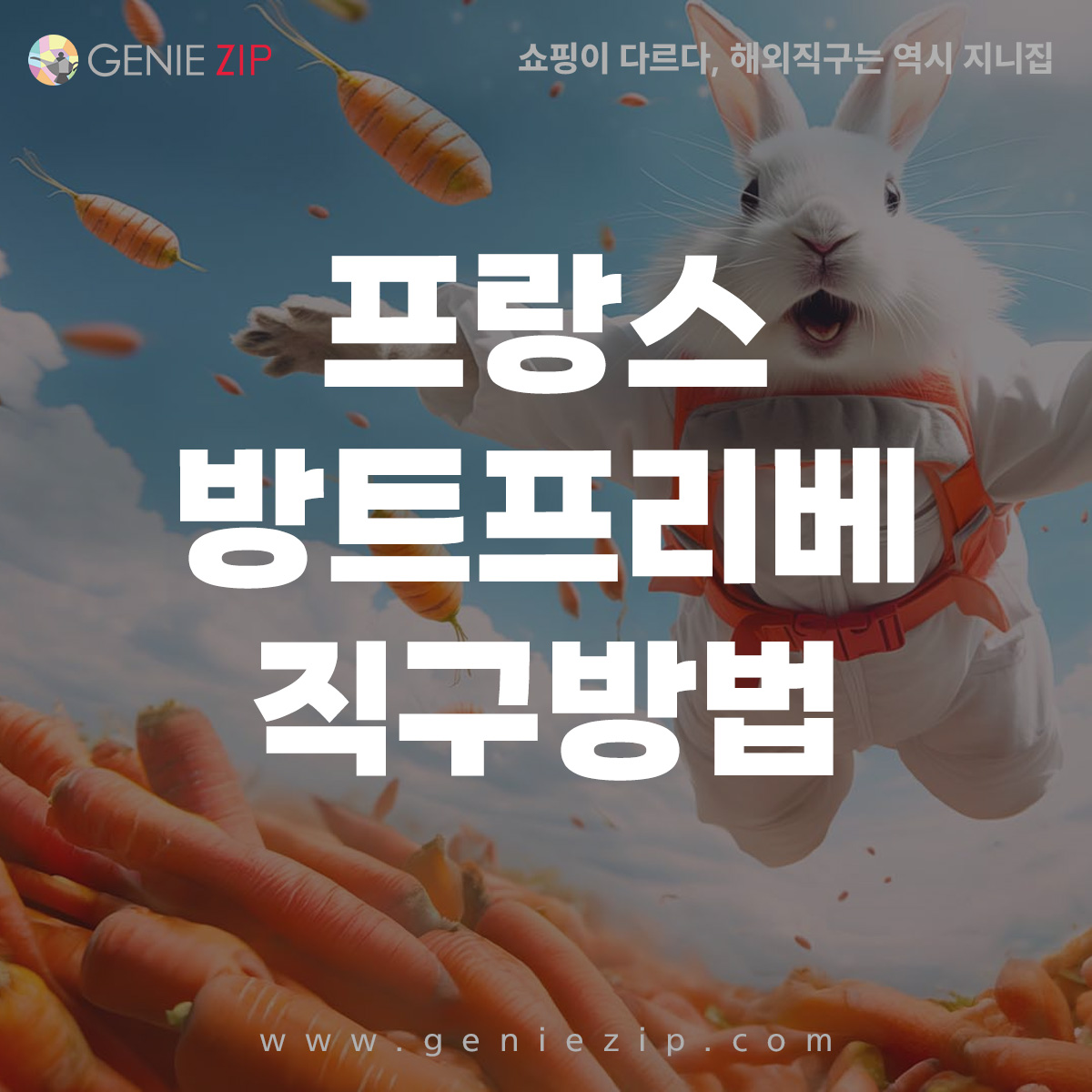 방트프리베 직구 방법