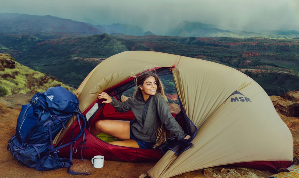 세일정보 브랜드