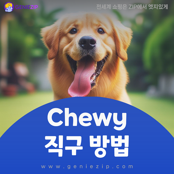 츄이닷컴 직구 방법