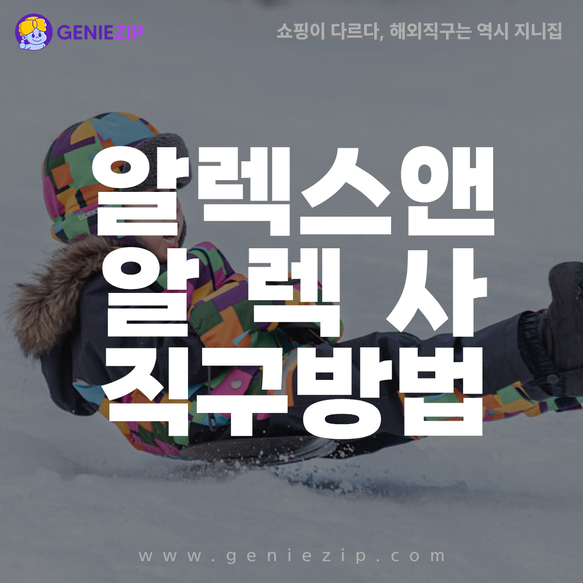 알렉스앤알렉사 직구 방법